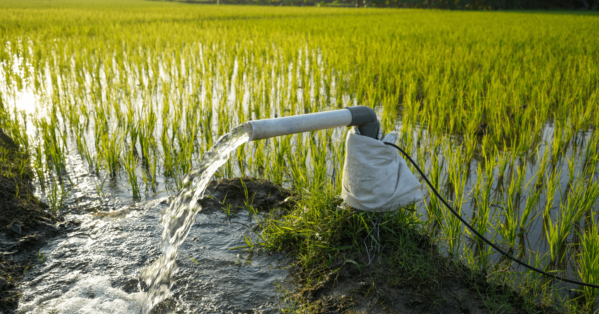 La necesidad de justicia hídrica entre la agricultura y consumo humano