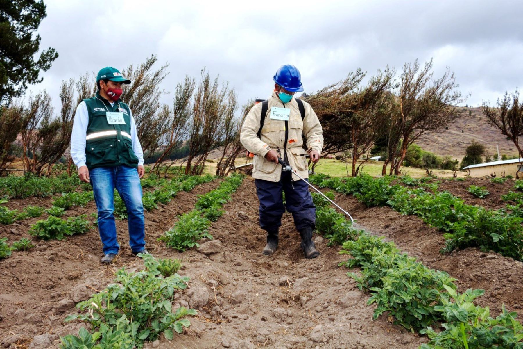 portada como debe distribuirse la urea andina difusion 03 08 22