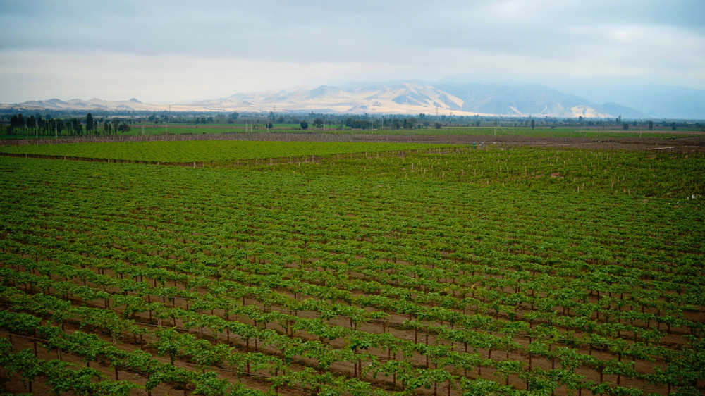 sector agrario medidas ante adversidad climatica 4 3 2024