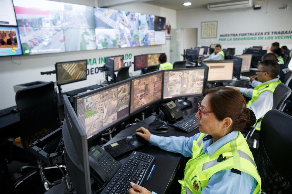 shutterstock 2429333277