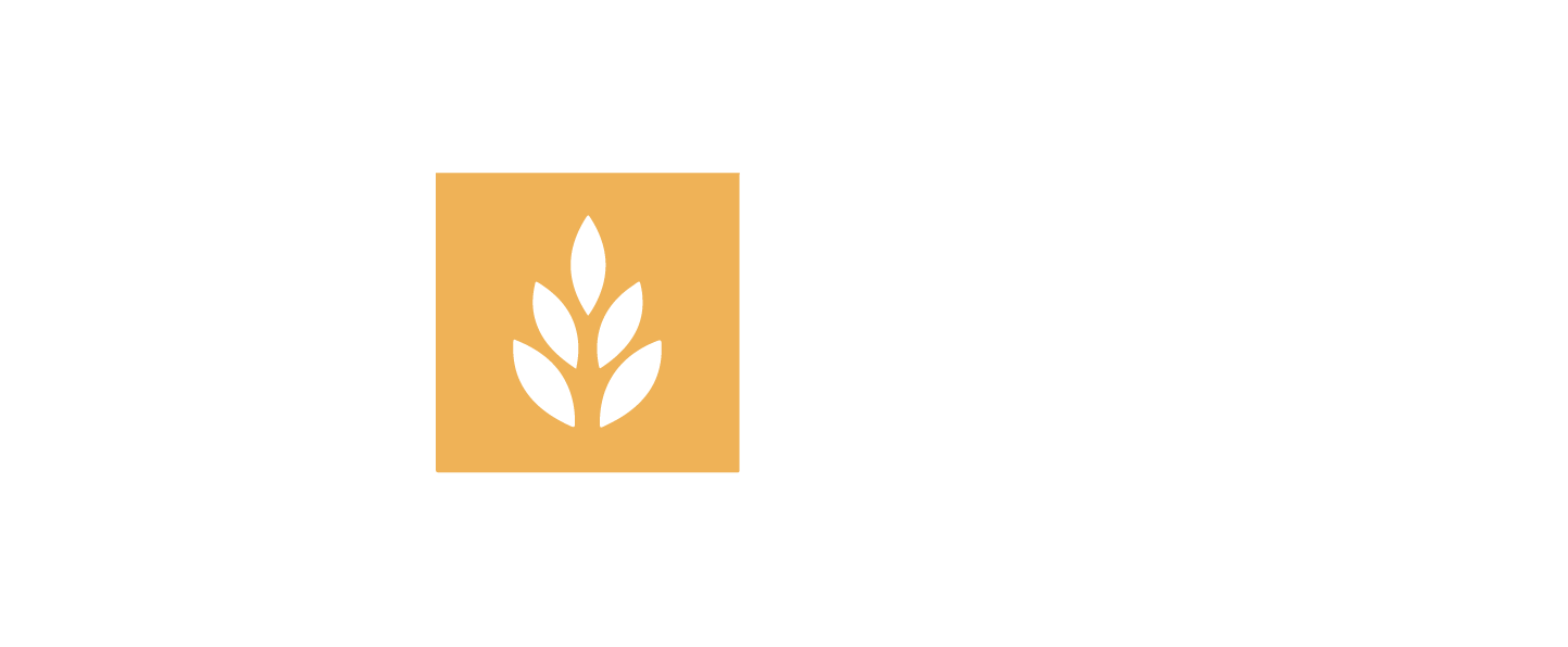 logo ranking