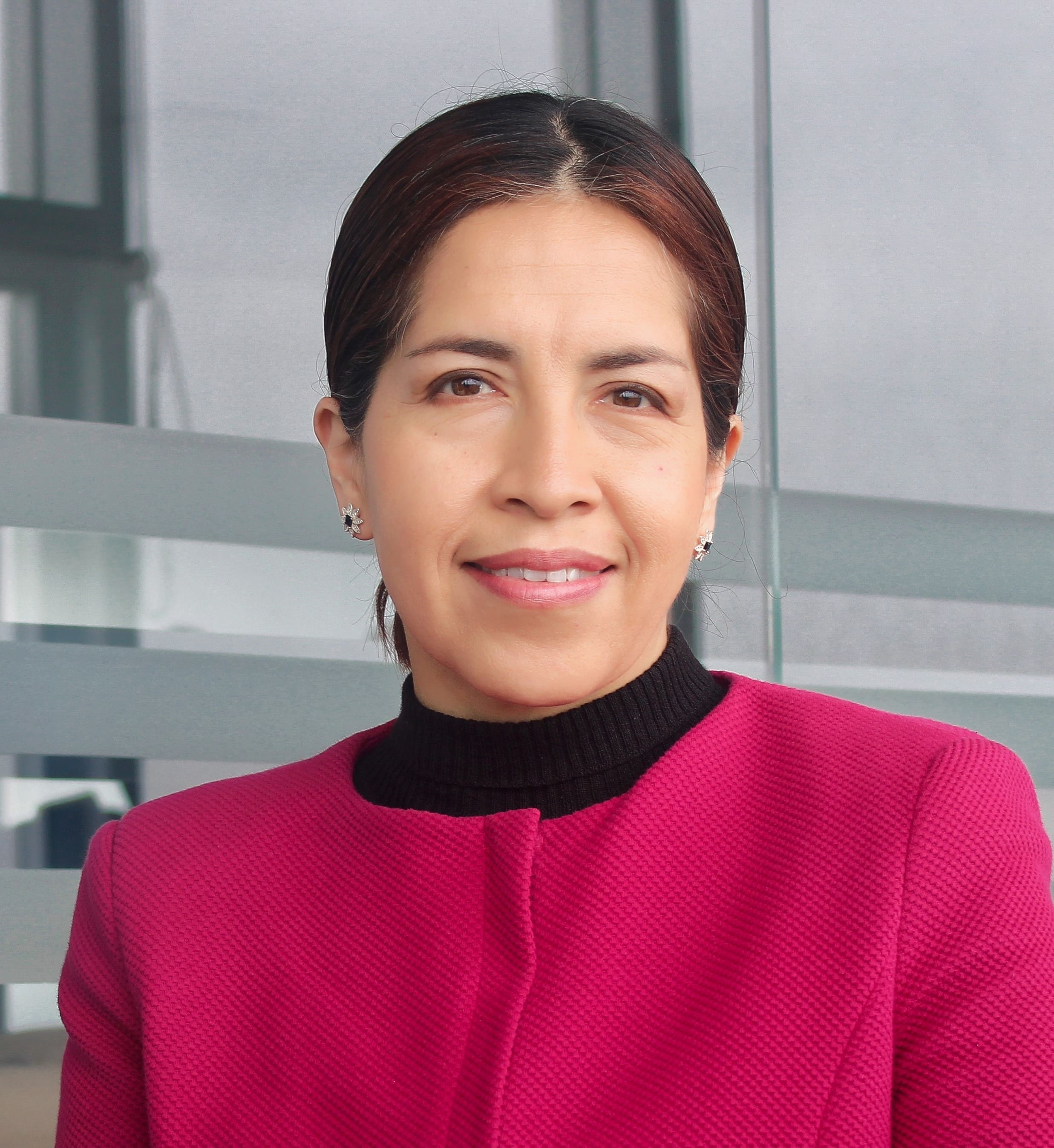 imagen del docente alicia abanto