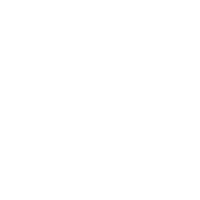 Plana Docente Internacional
