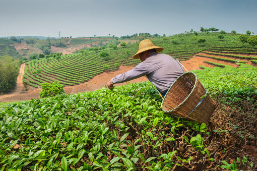 agro_agricultura_familiar_no.jpg