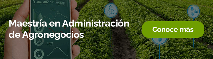 Maestría en Administración de Agronegocios