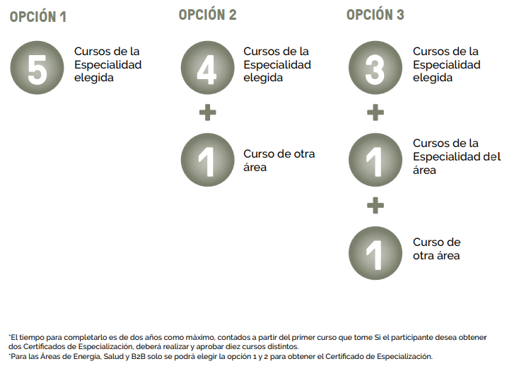 cursos del Programa de Especialización para Ejecutivos